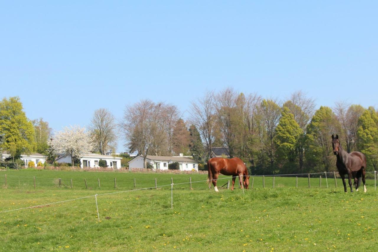 Domein Hellebeuk met UITZICHT! Valkenburg/Klimmen Exterior foto